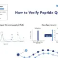 How to Verify Peptide Quality: COA, HPLC & Mass Spectrometry Checklist