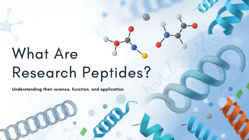 Scientific illustration of research peptides, amino acid chains, and laboratory testing for an educational article.