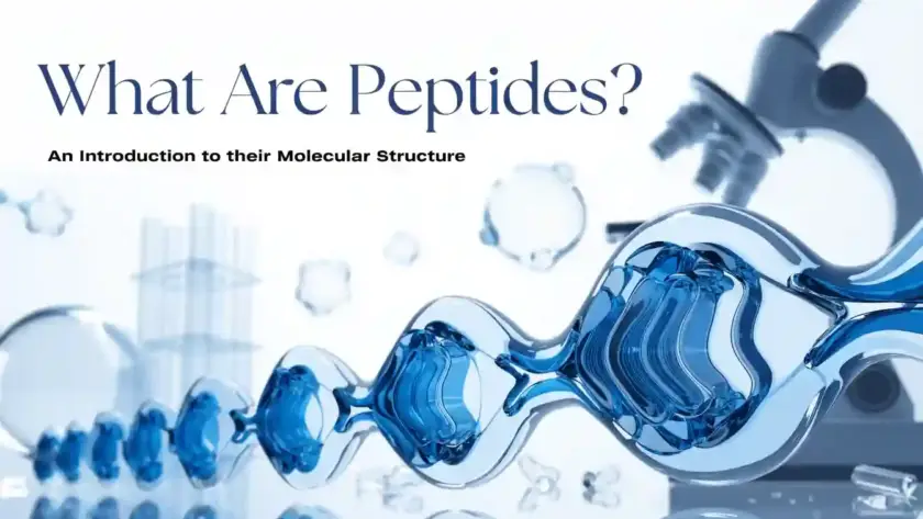 Scientific illustration of a peptide chain and amino acid structure for a research-focused article explaining what peptides are.