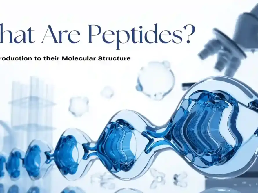 Scientific illustration of a peptide chain and amino acid structure for a research-focused article explaining what peptides are.