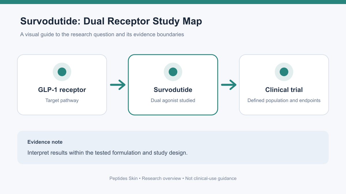 Schematic showing the two receptor pathways studied with survodutide and the clinical trial evidence needed to assess them.
