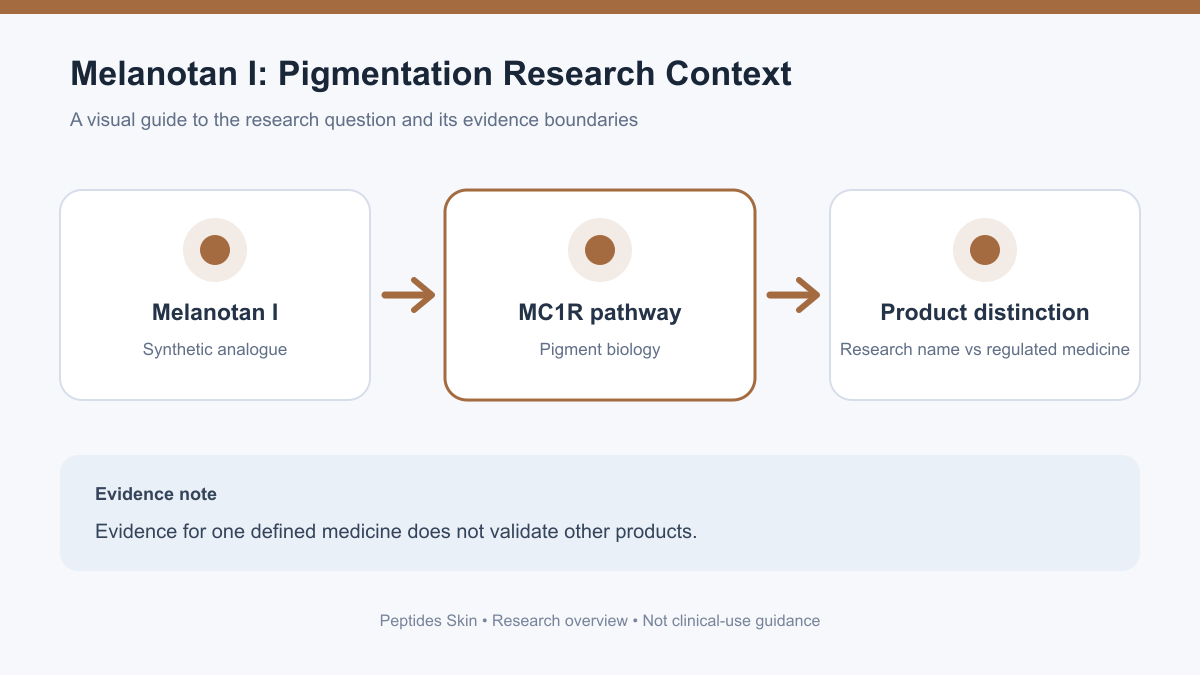Schematic of melanocortin receptor research and the distinction between Melanotan I studies and afamelanotide.