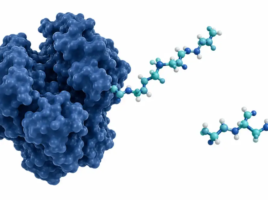 Illustration accompanying the CJC-1295 DAC terminology comparison