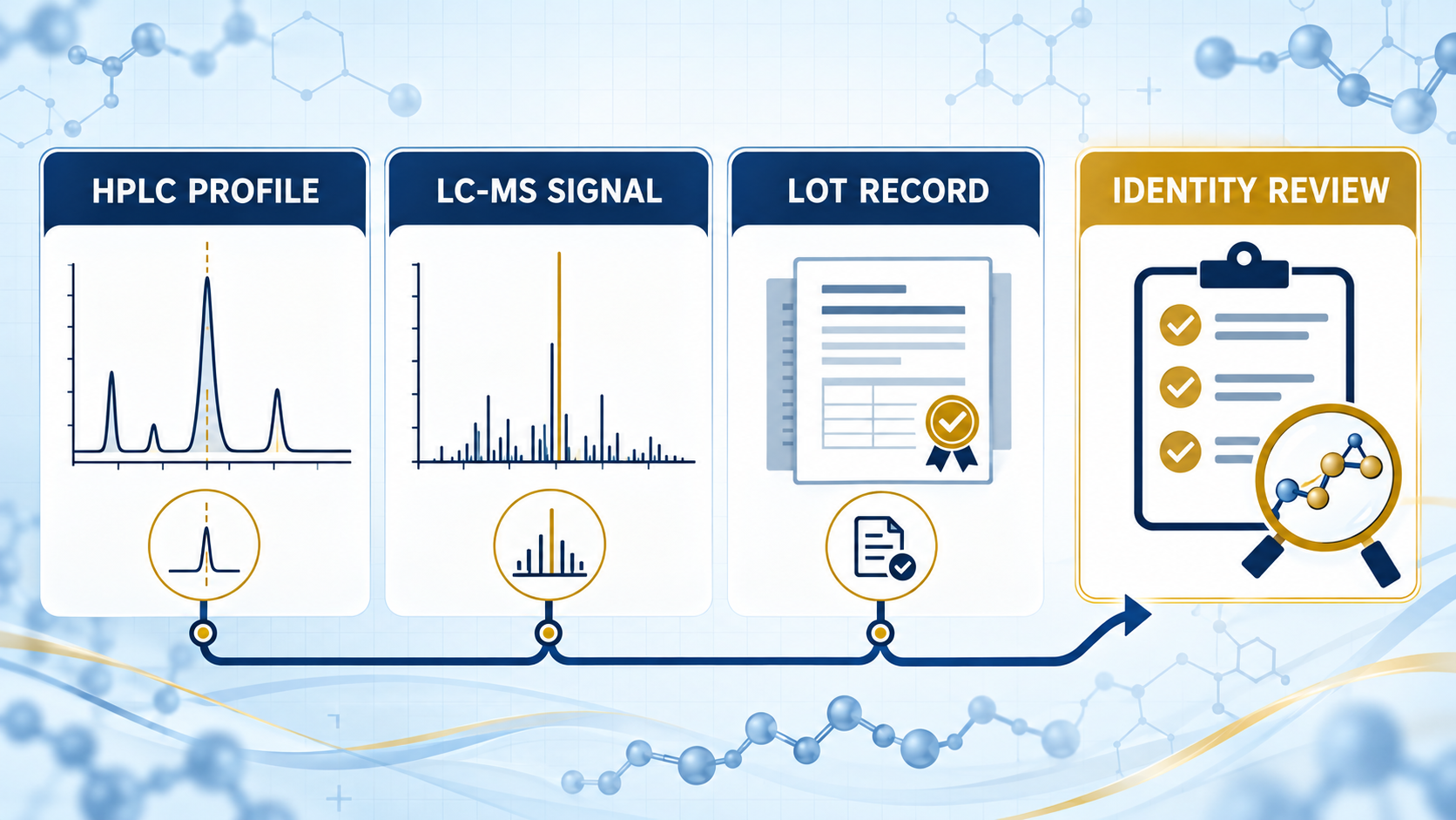 Orthogonal peptide identity confirmation workflow showing HPLC profile, LC-MS signal, lot record, and identity review
