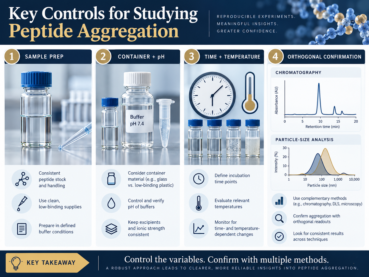 Peptide aggregation study controls for sample preparation, container and pH, time and temperature, and orthogonal confirmation